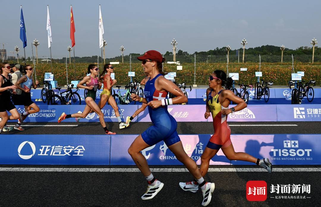 msn, entit msn, entit