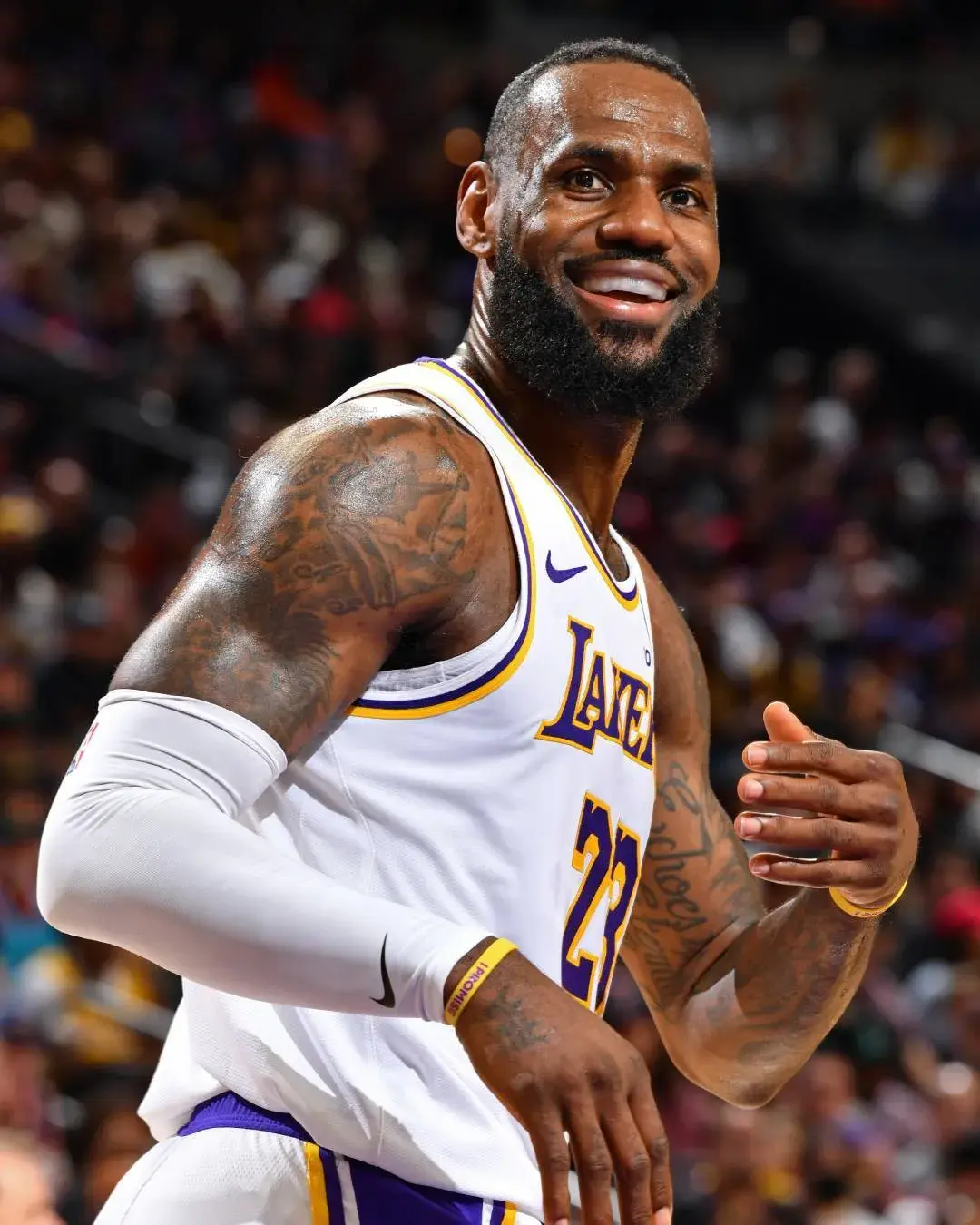 总冠军, tenan, 抱团夺冠没 总冠军, tenan, 抱团夺冠没